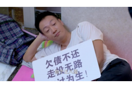 车贷催收员工培训：提升效率，保障权益